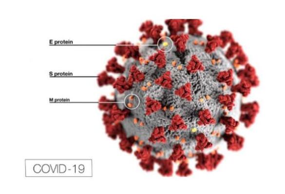 COVID-19對歐盟MDR，SCIP廢物框架指令的影響